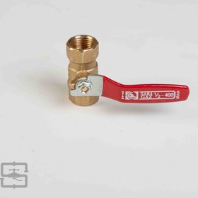 تصویر شیر گازی سارا 