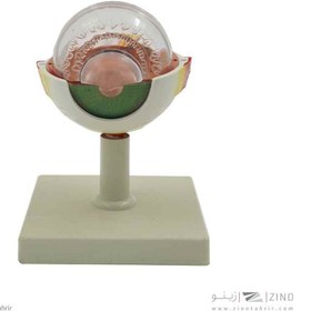 تصویر مولاژ چشم10برابر 