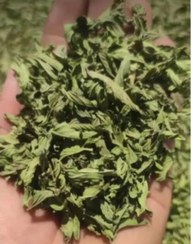 تصویر نعنا خشک فله ای 10kg 10kg