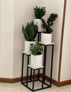 تصویر فروشگاه گلستونک