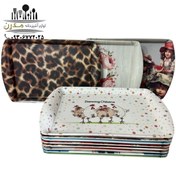 تصویر سینی ملامین بزرگ فرانسوی(12تایی) 