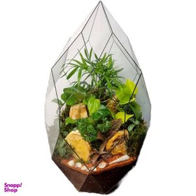 تصویر تراریوم دایموند VIP کد 8001 