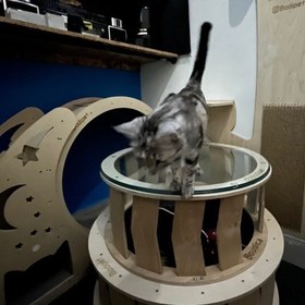 تصویر کت میز 