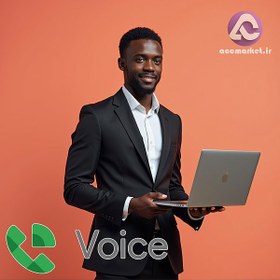 تصویر شماره مجازی آمریکا Google Voice 