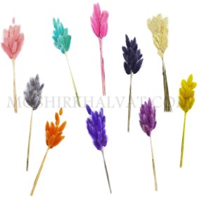 تصویر گل خشک مدل دم خرگوشی 