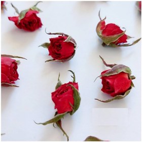 تصویر گل خشک غنچه ساناز (بسته ۲۰ عددی) - 