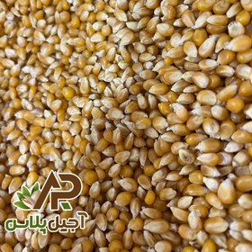 تصویر ذرت پاپ کورن خام 