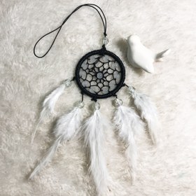 تصویر دریم کچر مروارید 