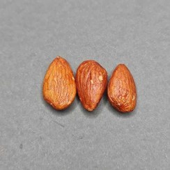 تصویر مغز بادام درختی نمکی ترد - نیم کیلویی 