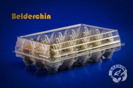 تصویر ظرف تخم بلدرچین 15 عددی هایپرمارکتی 