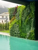 تصویر گل دکور گرین وال 