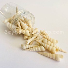 تصویر صدف سوزنی سفید تمامی صدف ها در قوطی های دردار بسته بندی میشوند