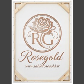 تصویر تابلو بوم دکوری مدرن زیبا کد ۱۷۰۱ - ۹۰×۶۰ 