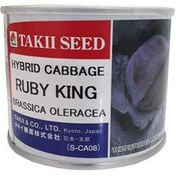 تصویر بذر کلم روبی بال قرمز تاکی ژاپن Ruby Ball Red Cabbage