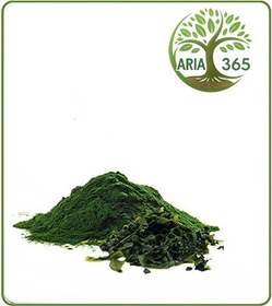 تصویر عصاره جلبک دریایی خشک یا پودری 