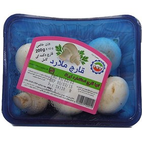 تصویر قارچ کامل ملارد 