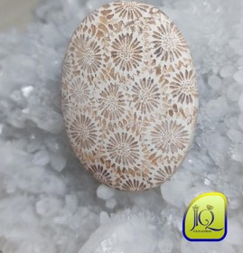 تصویر نگین فسیل مرجان اندونزی 