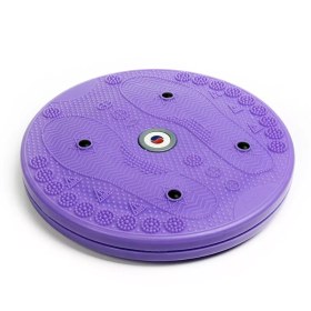 تصویر دیسک چرخونک تن زیب 