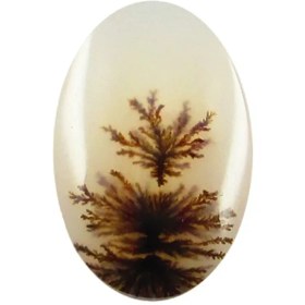 تصویر سنگ شجر پارلا گوهر کد4085 