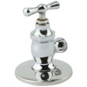 تصویر شیر پیسوار کلیدی قهرمان 