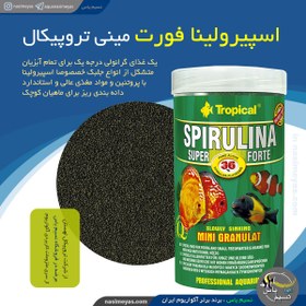 تصویر غذای گرانول سوپر اسپیرولینا فورت مینی تروپیکال Tropical Super Spirulina Forte mini Granulat