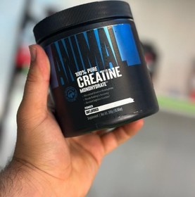 تصویر انیمال کراتین مونوهیدرات یونیورسال 