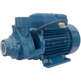 تصویر ردسون نیم اسب بشقابی 