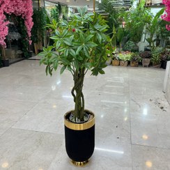 تصویر درختچه بنسای مصنوعی 