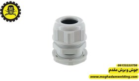 تصویر گلند شماره 13.5 