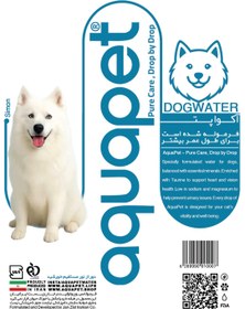 تصویر آب تخصصی سگ 