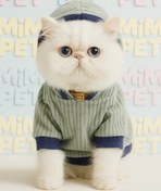 تصویر لباس پاییزه جلو بسته سگ و گربه 