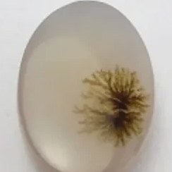 تصویر سنگ شجر کد 2311 