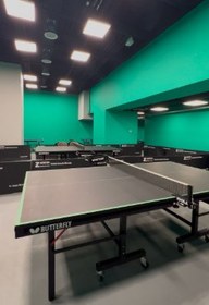 تصویر تنیس روی میز آریا 