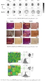 تصویر تبلور مجدد باند برشی و رشد دانه در دو آلیاژ نورد شده منیزیم-عنصر کمیاب 