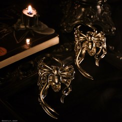 تصویر کلیپس عنکبوتی و ستاره 