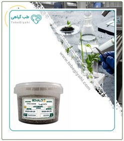 تصویر دانه چیا ارگانیک 