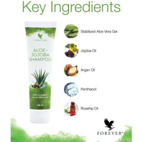 تصویر شامپو آلوئه جوجوبا فوراور Aloe Jojoba shampoo