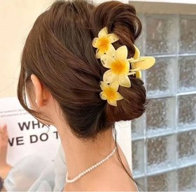 تصویر کلیپس پلومریا ۳ گل - آیی 