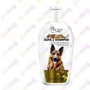 تصویر شامپو سگ و گربه پرسا حاوی روغن زیتون  حجم 250 میلی لیتر Olive shampoo 250ml