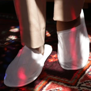 تصویر فروشگاه رسپینا لوتوس