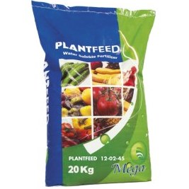 تصویر جلبک دریایی ترامار 