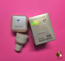 تصویر کوشن کلور کت مدل حلزون شماره ۲۲ به همراه پد آرایشی 