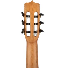 تصویر گیتار پارسی مدل K120F 