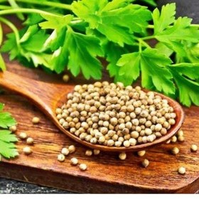 تصویر بذر گشنیز 