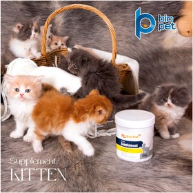 تصویر پودر مکمل گربه بایو پت مدل kitten وزن 200 گرم 