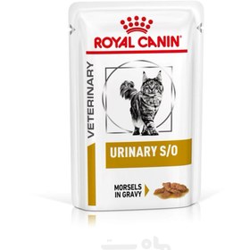 تصویر پوچ گربه رویال کنین مدل یورینری 85 گرم Royal Canin Urinary Cat Pouch 