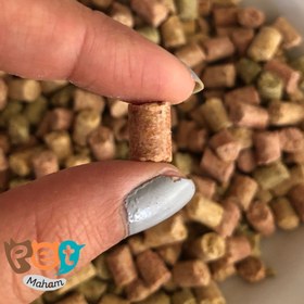 تصویر پلت تقویتی کاسکو اوشکایا Oshkaya Pellet Food For Gray Parrot