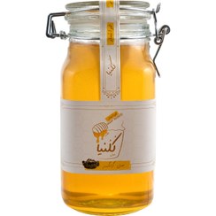 تصویر عسل انگبین گون مخصوص کلنیا چفتی 800گرم کد محصول : 0034 