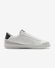 mark nason skechers white