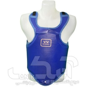 تصویر هوگو ساندا ویسینگ wesing 